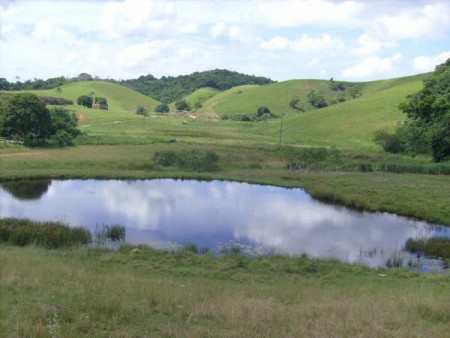 ÁREA COM 20.214 M2 DE FRENTE AO SEGUNDO PÓLO INDUSTRIAL DE SAQUAREMA